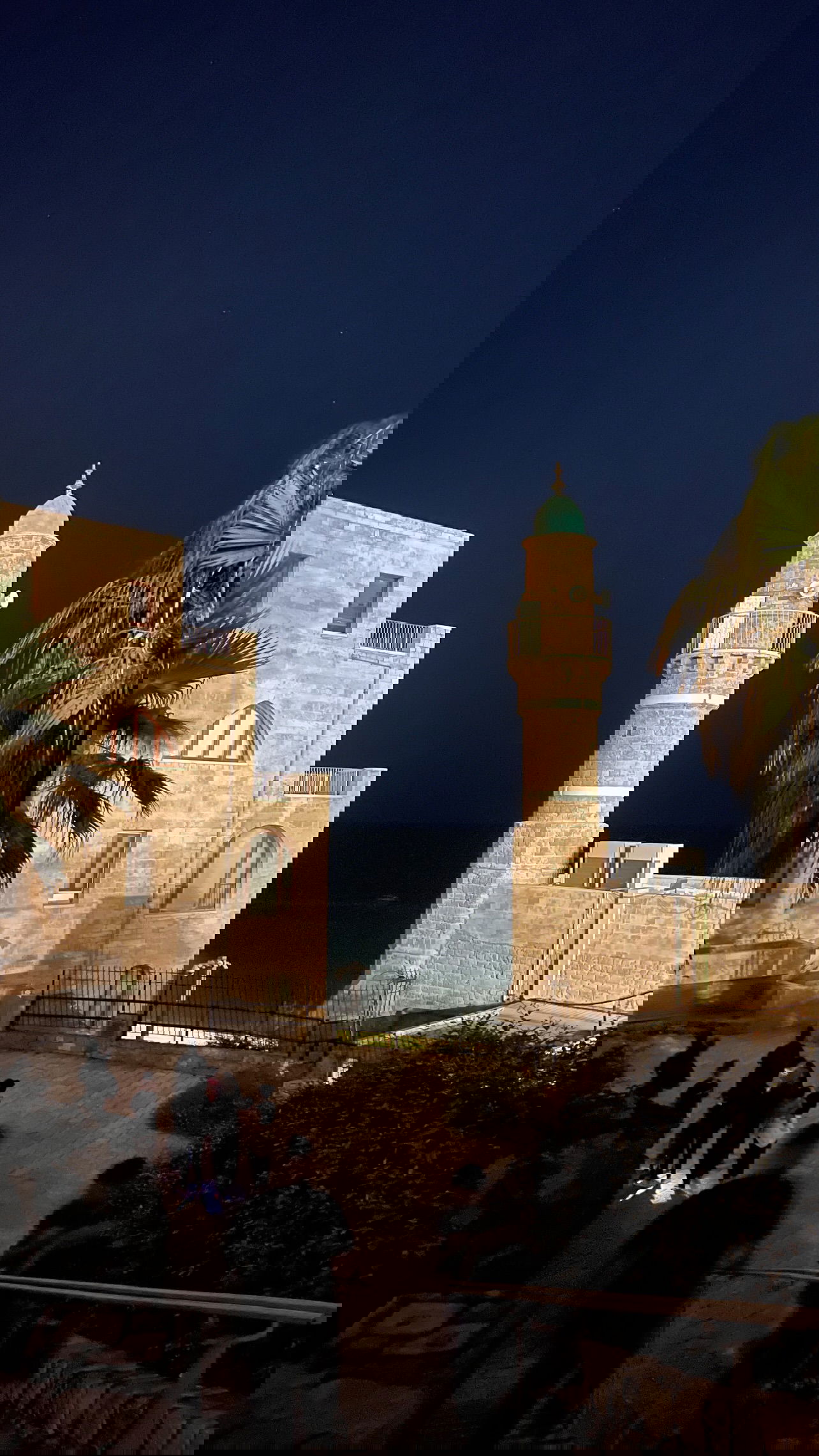 v.e.r.o._.n.i.c.a instagram image archive image