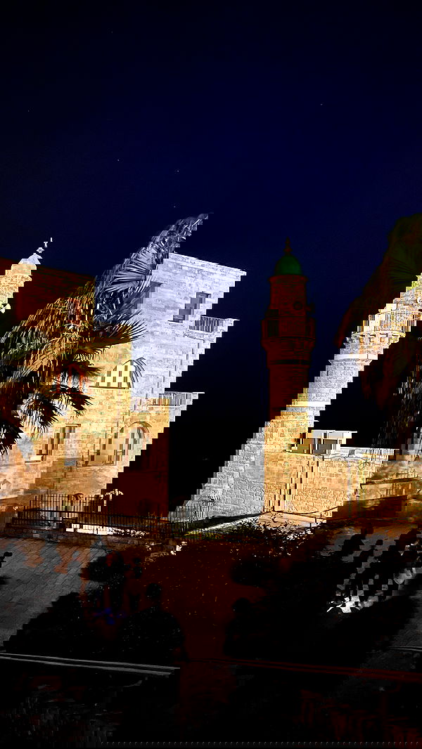 v.e.r.o._.n.i.c.a image ~ Altpins