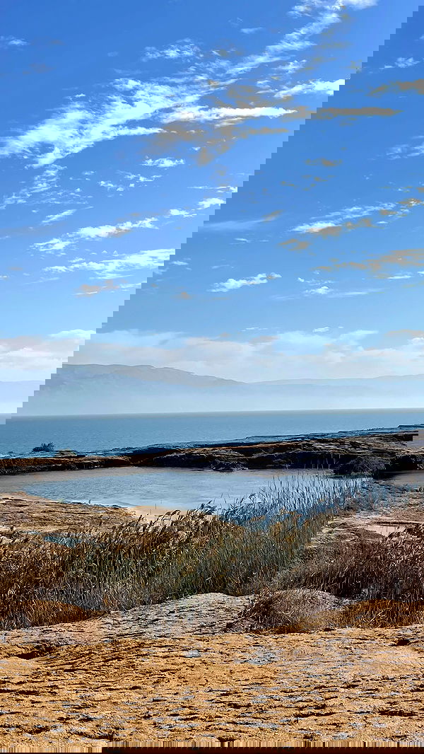 v.e.r.o._.n.i.c.a image ~ Altpins