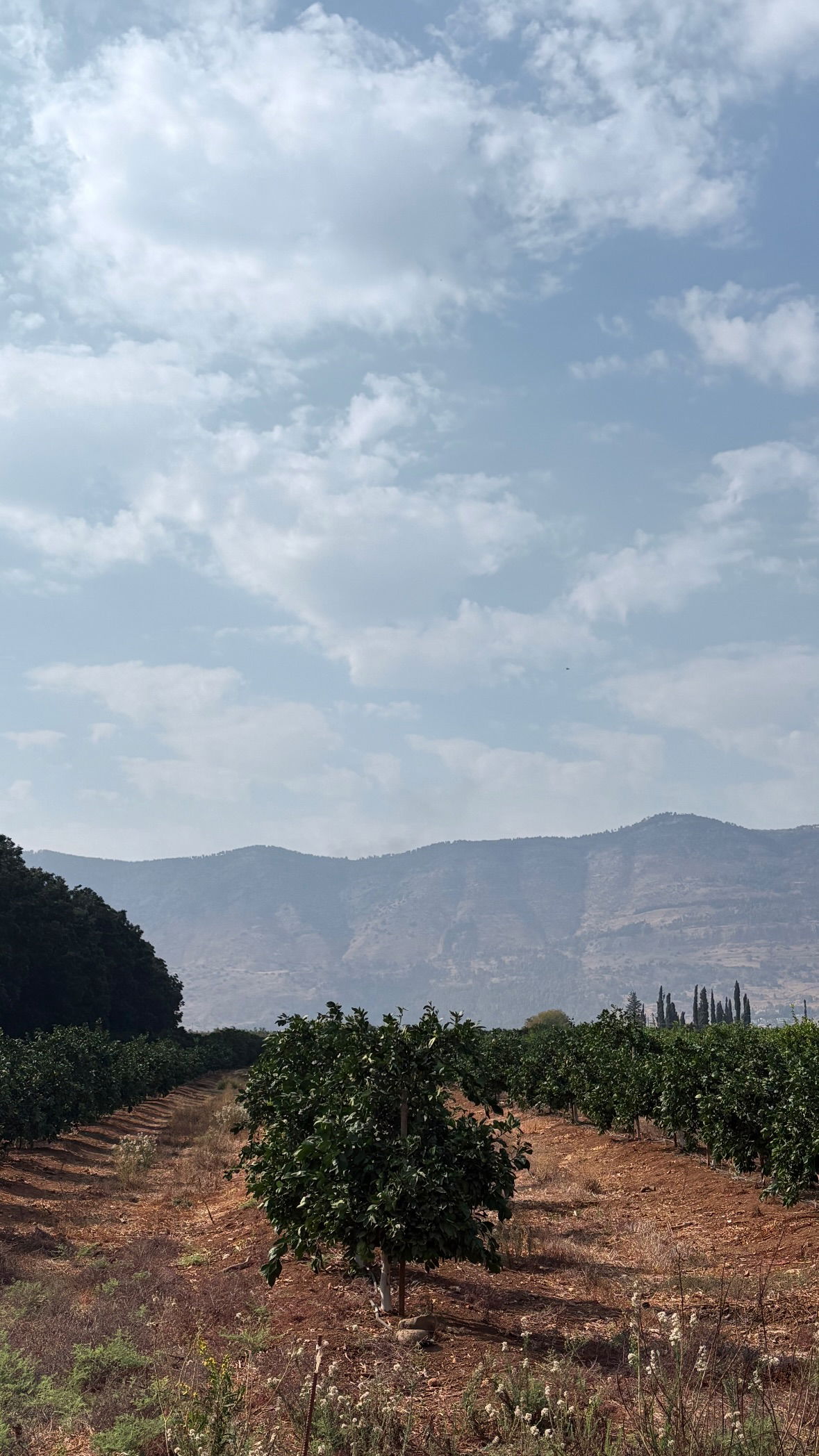 v.e.r.o._.n.i.c.a instagram image archive image