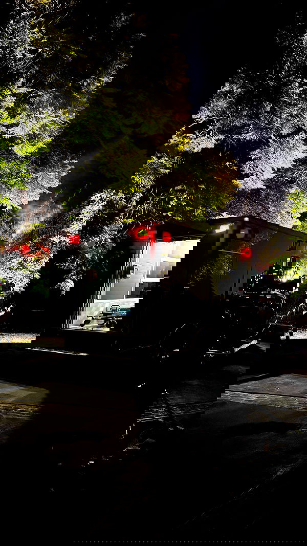 v.okay image ~ Altpins