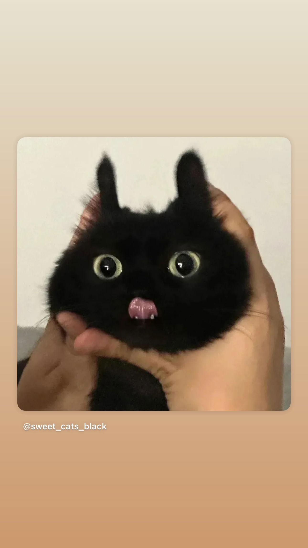 v.okay instagram image archive image