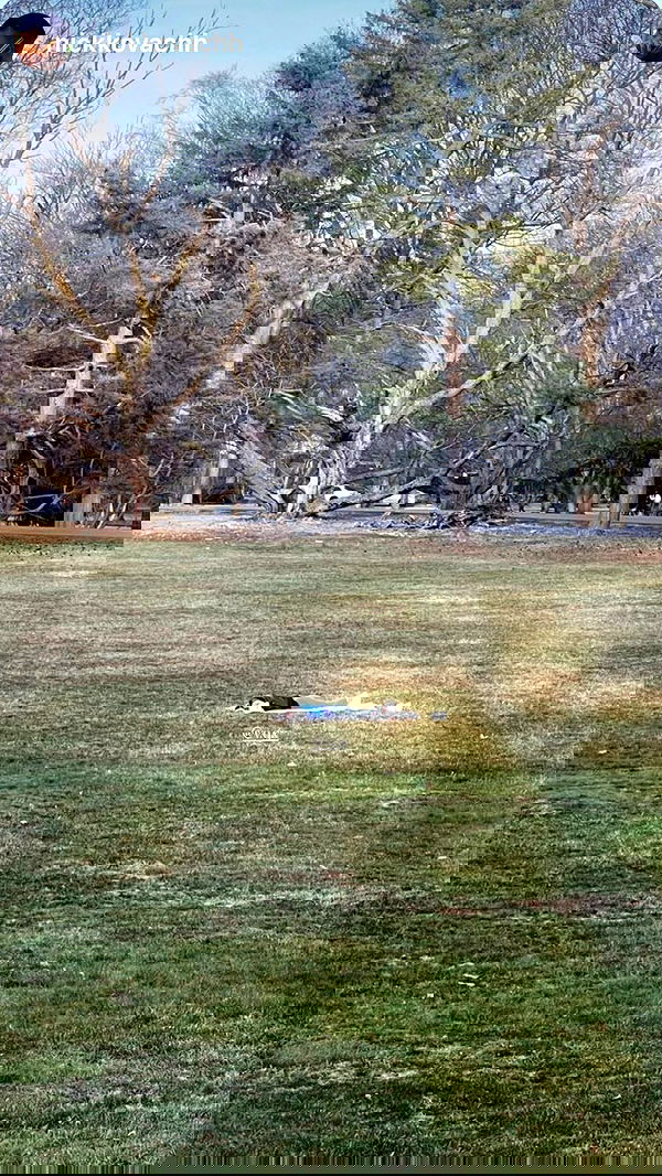 v.qx v.qx archive image