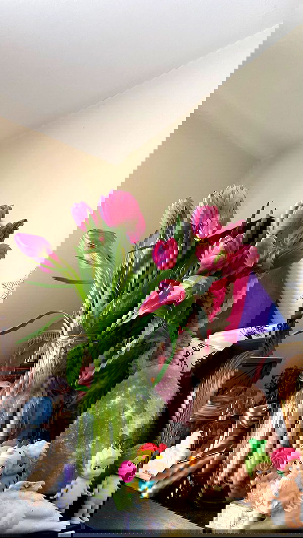 v.qx v.qx archive image