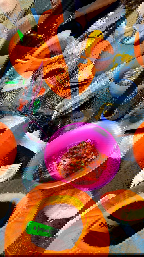 v.qx v.qx archive image