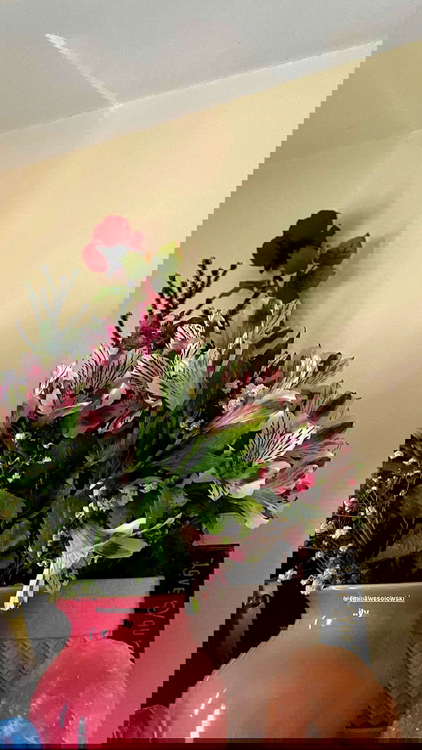 v.qx v.qx archive image