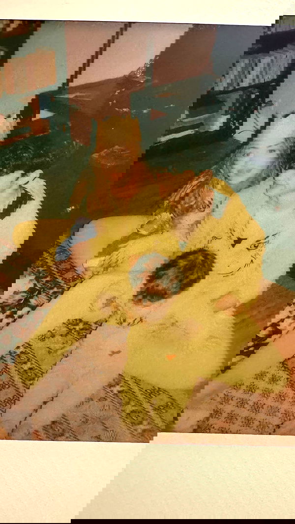 v.qx v.qx archive image