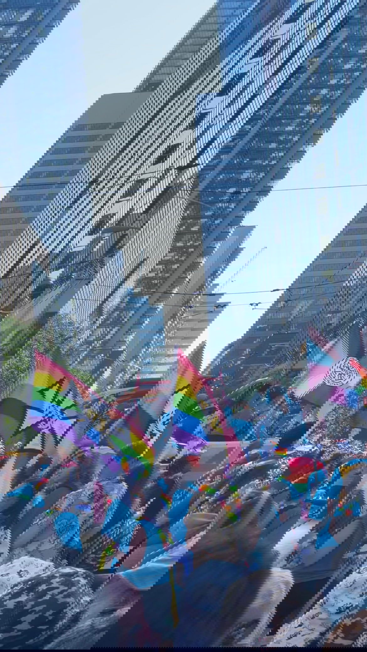 v33froggy instagram image archive image