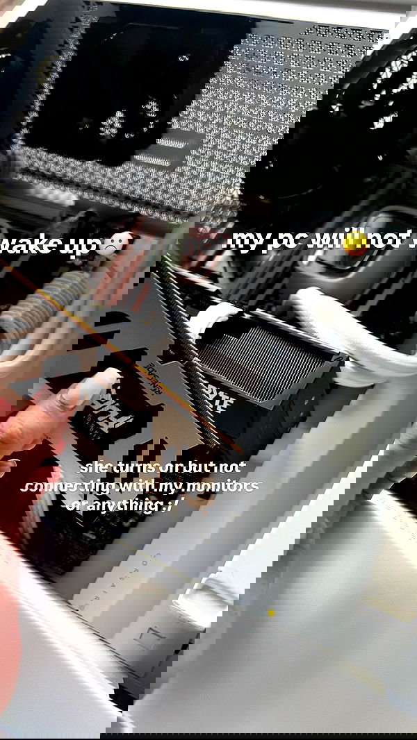 v33froggy image ~ Altpins