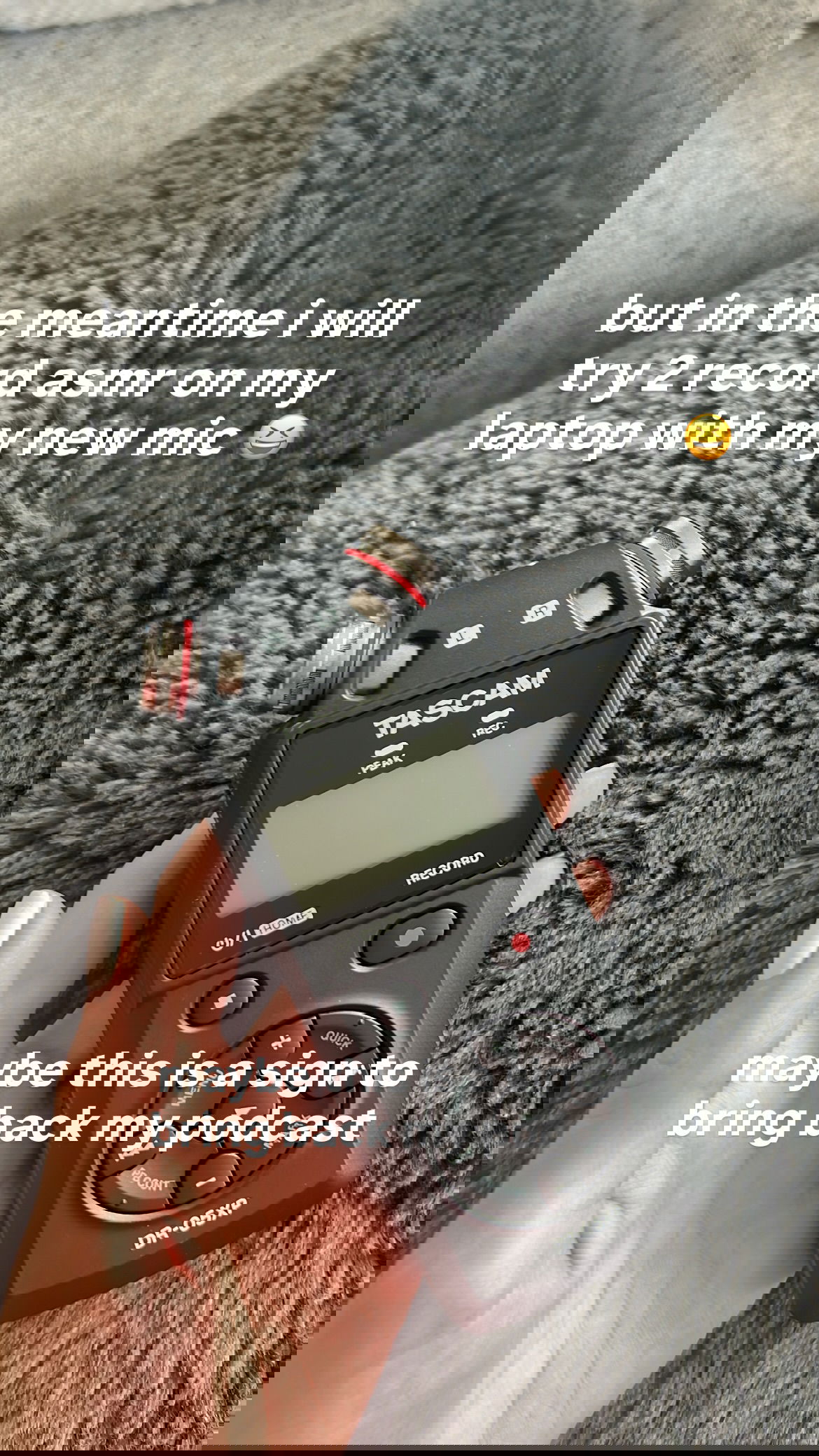 v33froggy instagram image archive image