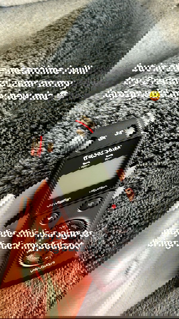 v33froggy image ~ Altpins