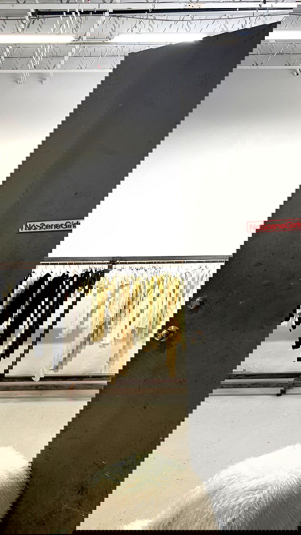 v33froggy image ~ Altpins