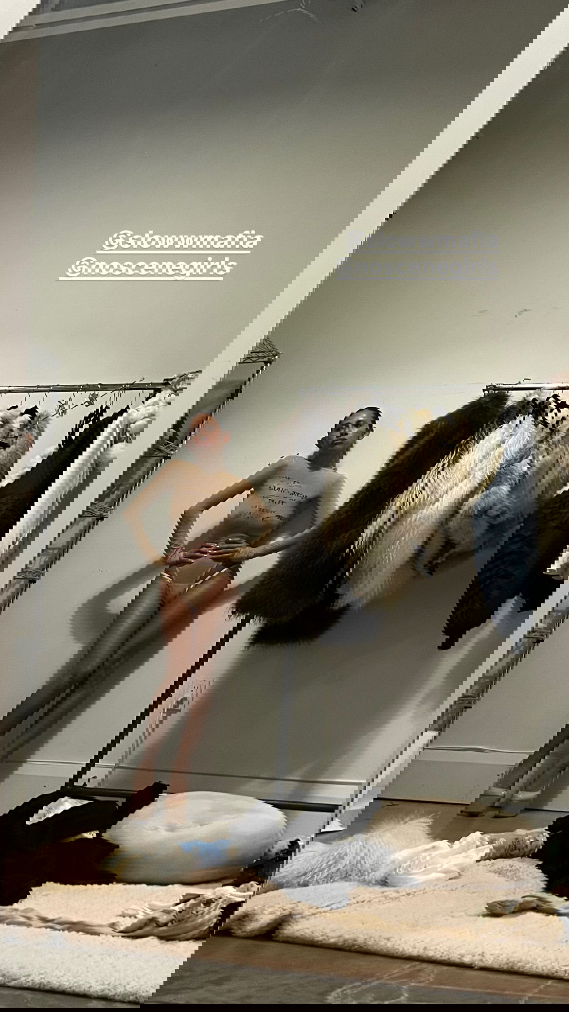 v33froggy instagram image archive image