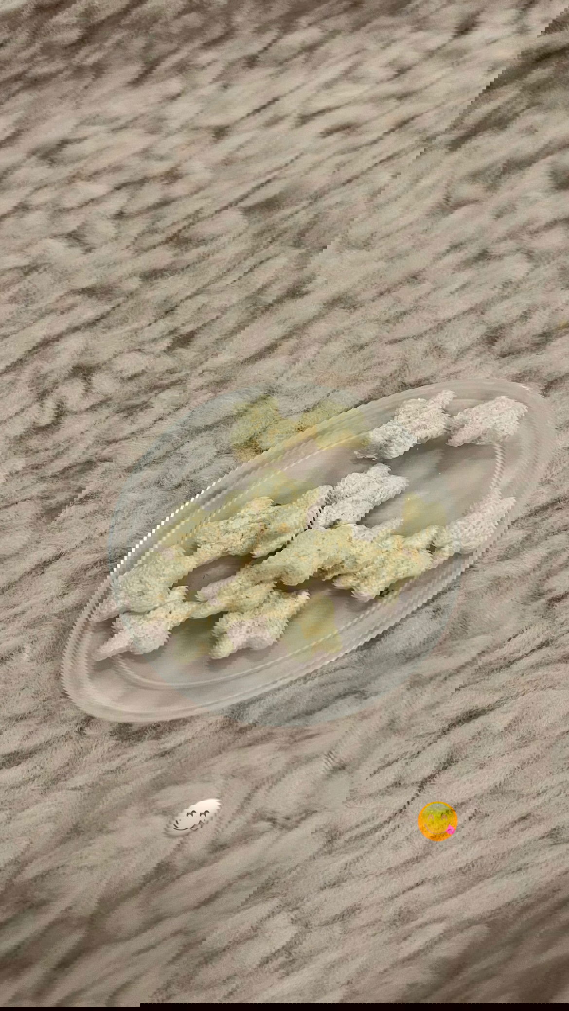 v33froggy instagram image archive image