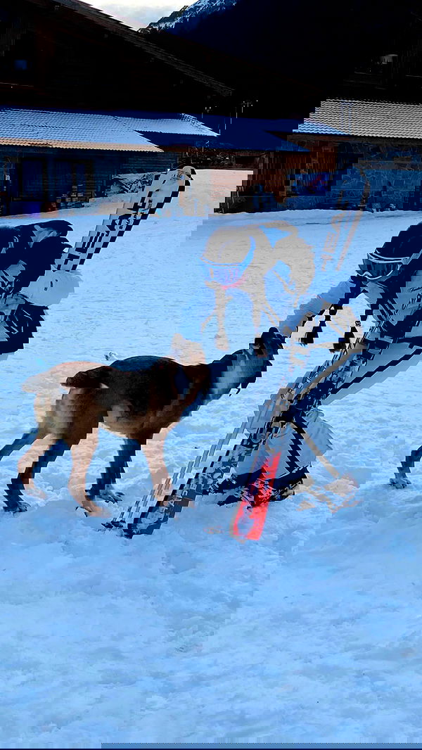 valeria_lukin valeria_lukin archive image