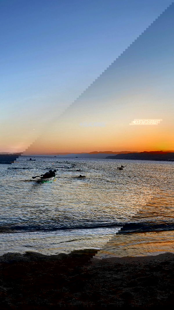 valeria_lukin valeria_lukin archive image