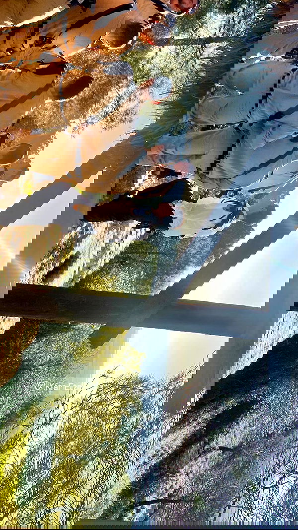 valeria_lukin valeria_lukin archive image