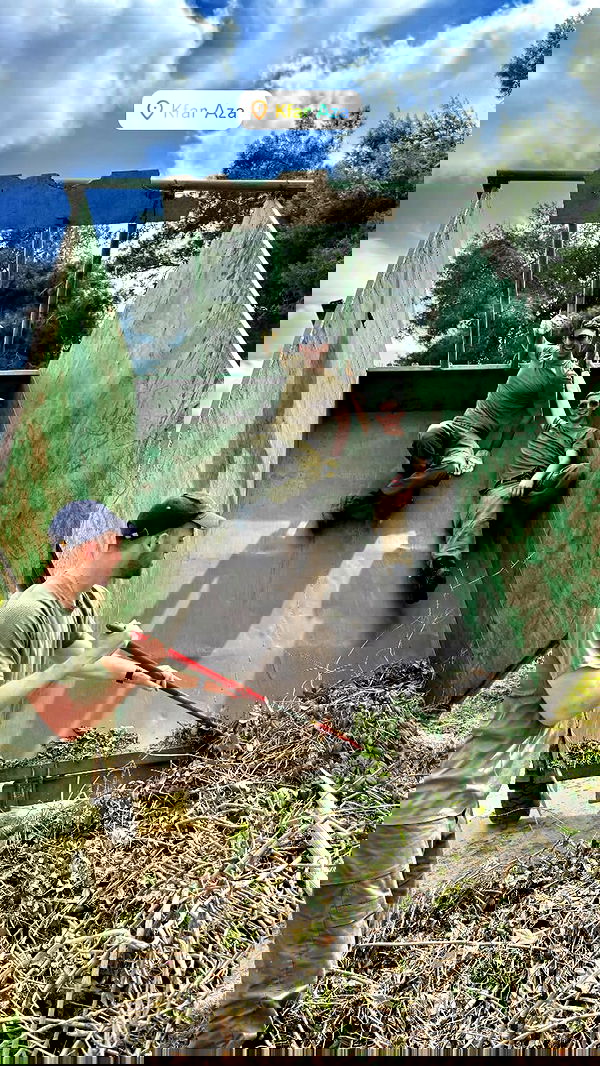 valeria_lukin valeria_lukin archive image