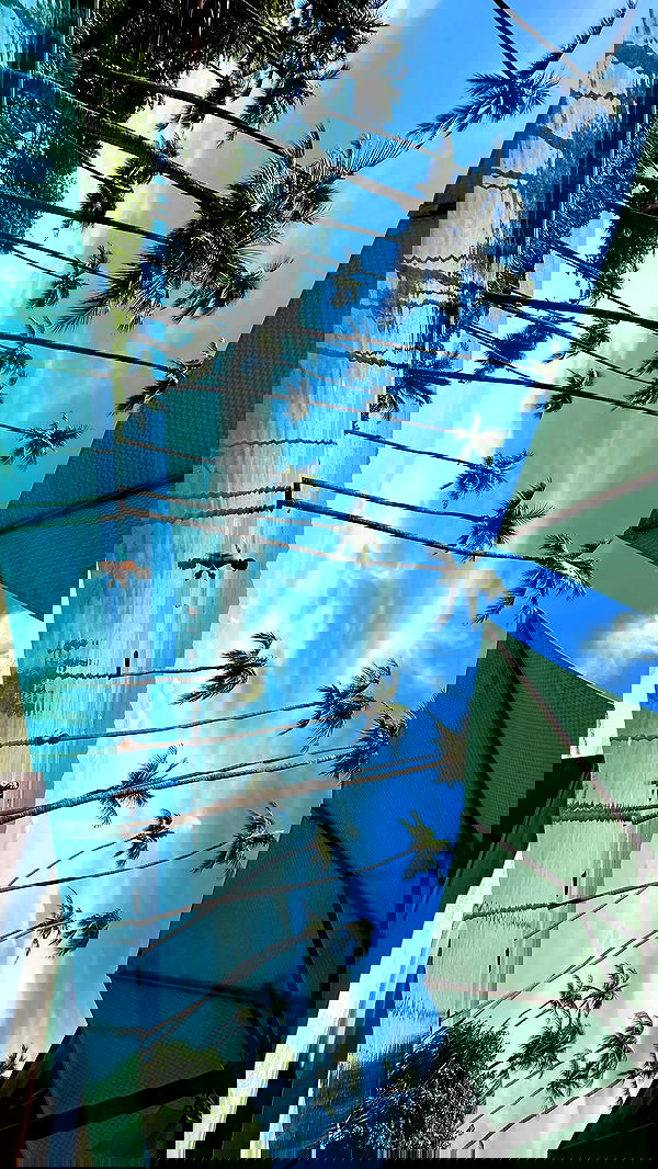 valeria_lukin valeria_lukin archive image