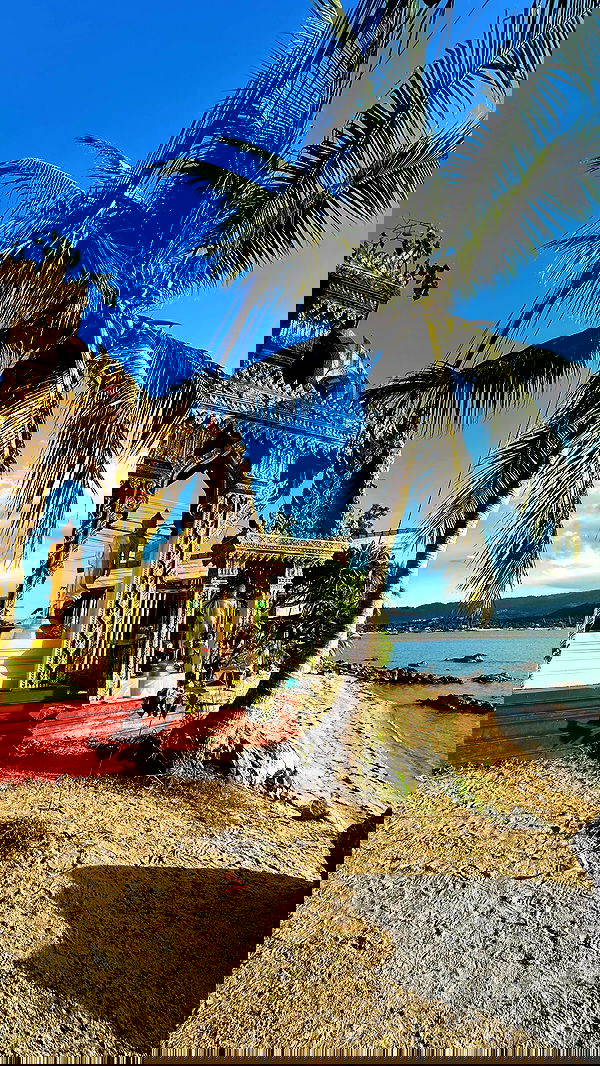 valeria_lukin valeria_lukin archive image