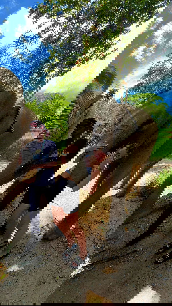 valeria_lukin valeria_lukin archive image