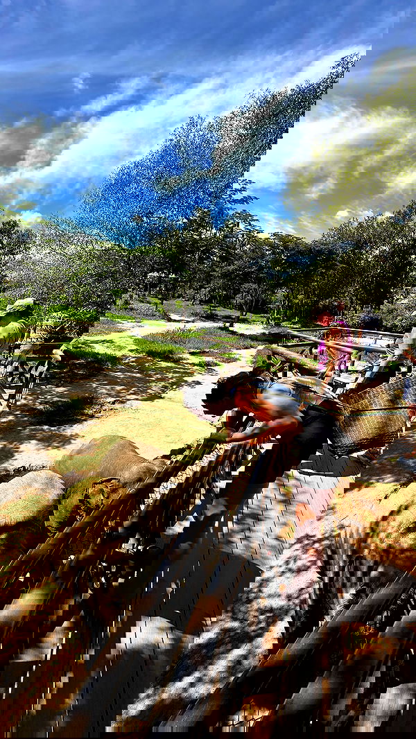 valeria_lukin valeria_lukin archive image