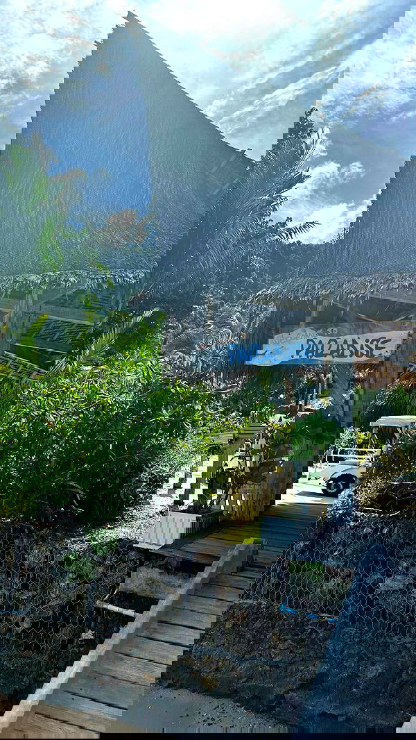 valeria_lukin valeria_lukin archive image