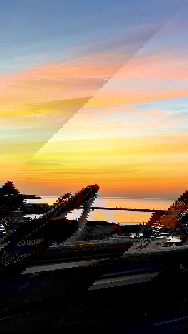 valeria_lukin valeria_lukin archive image