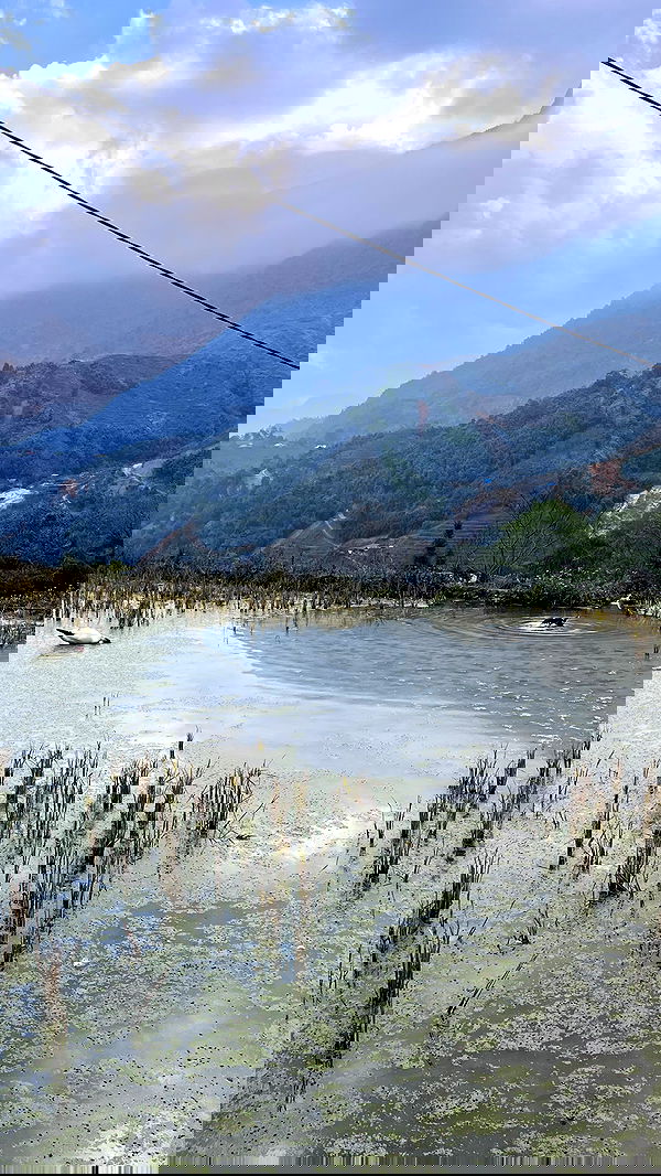 valeria_lukin valeria_lukin archive image