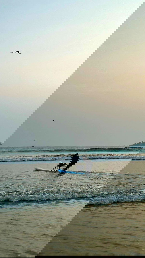 valeria_lukin valeria_lukin archive image