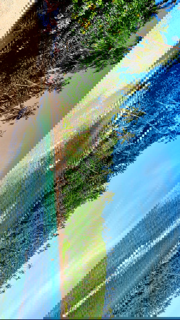 valeria_lukin valeria_lukin archive image