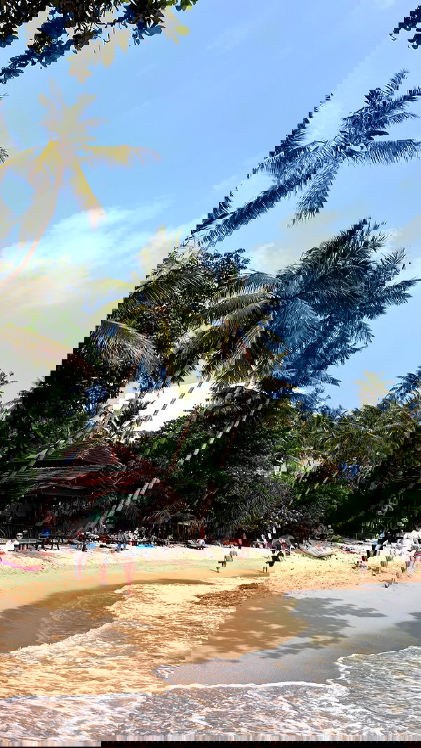 valeria_lukin valeria_lukin archive image