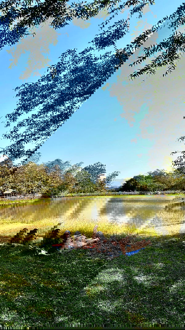 valeria_lukin valeria_lukin archive image