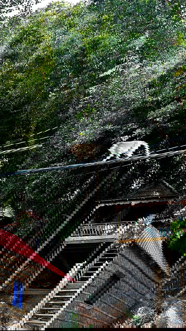 valeria_lukin valeria_lukin archive image