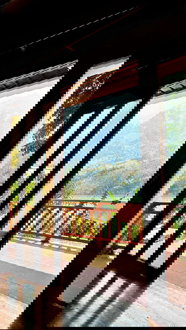 valeria_lukin valeria_lukin archive image