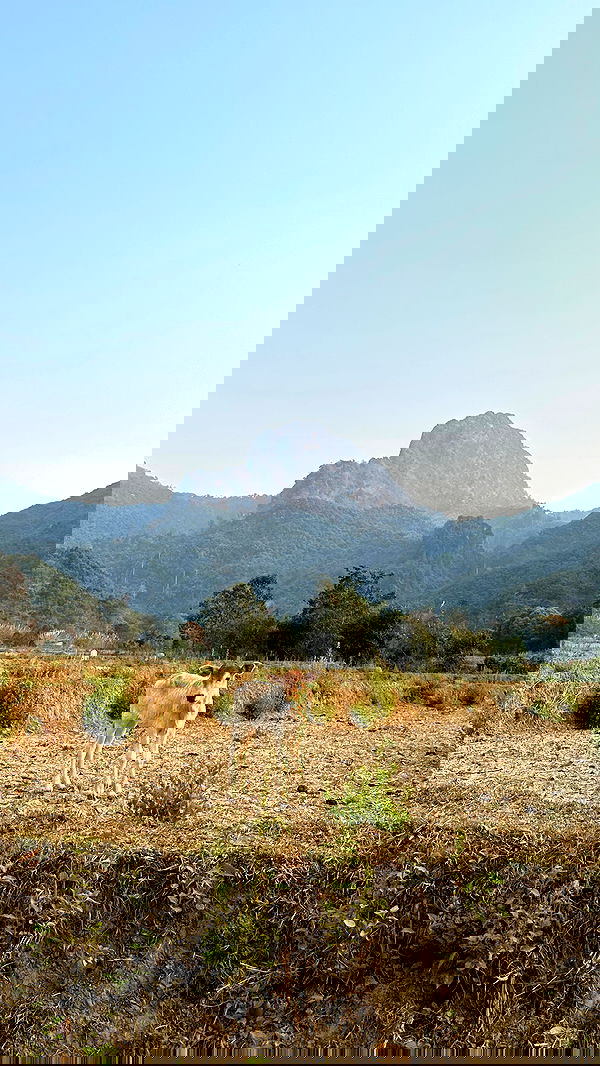 valeria_lukin valeria_lukin archive image