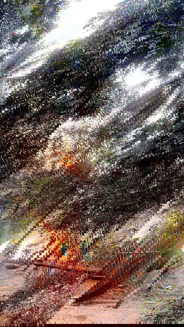 valeria_lukin valeria_lukin archive image