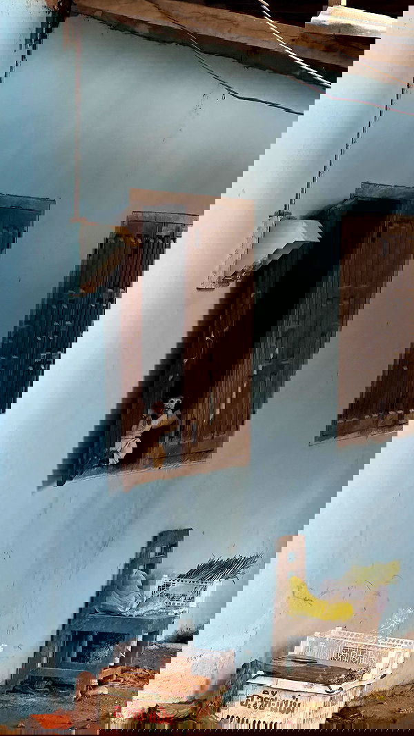 valeria_lukin valeria_lukin archive image