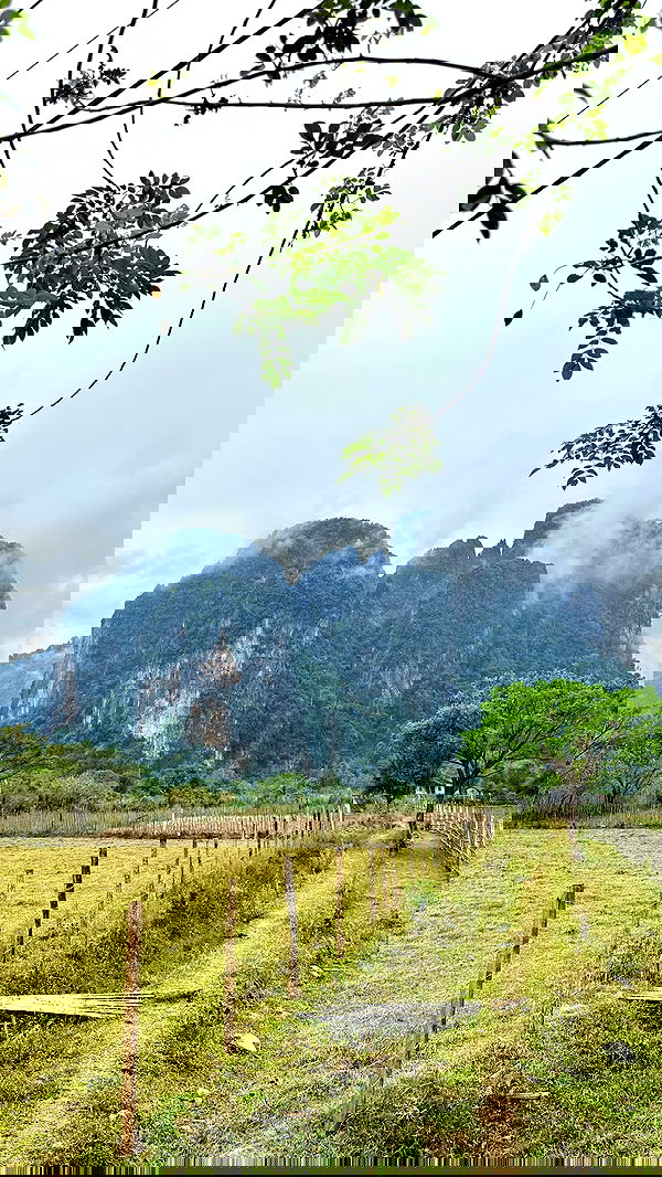 valeria_lukin valeria_lukin archive image