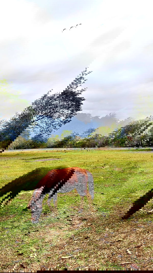 valeria_lukin valeria_lukin archive image