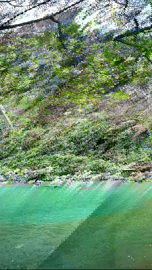 valeria_lukin valeria_lukin archive image