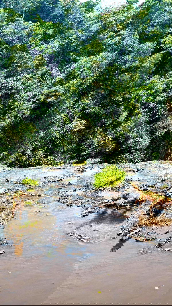 valeria_lukin valeria_lukin archive image