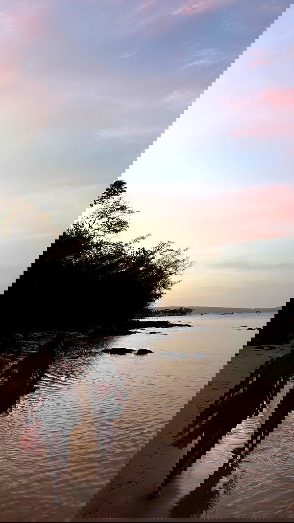 valeria_lukin valeria_lukin archive image