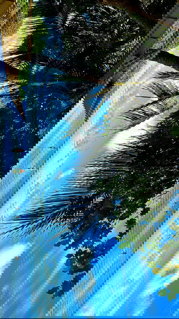 valeria_lukin valeria_lukin archive image