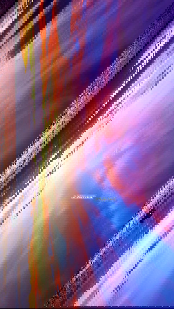 valeria_lukin valeria_lukin archive image