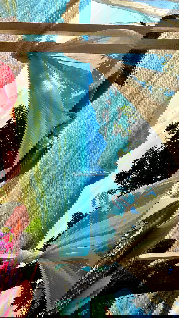 valeria_lukin valeria_lukin archive image