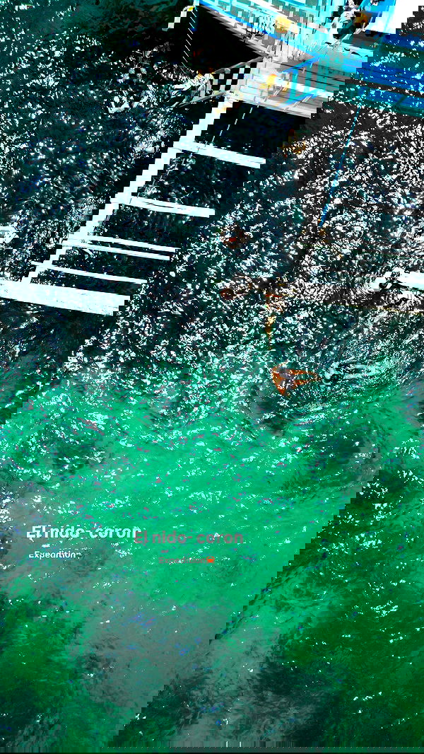 valeria_lukin valeria_lukin archive image