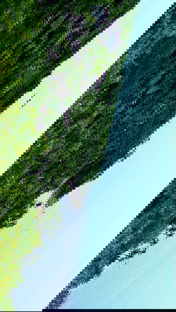 valeria_lukin valeria_lukin archive image