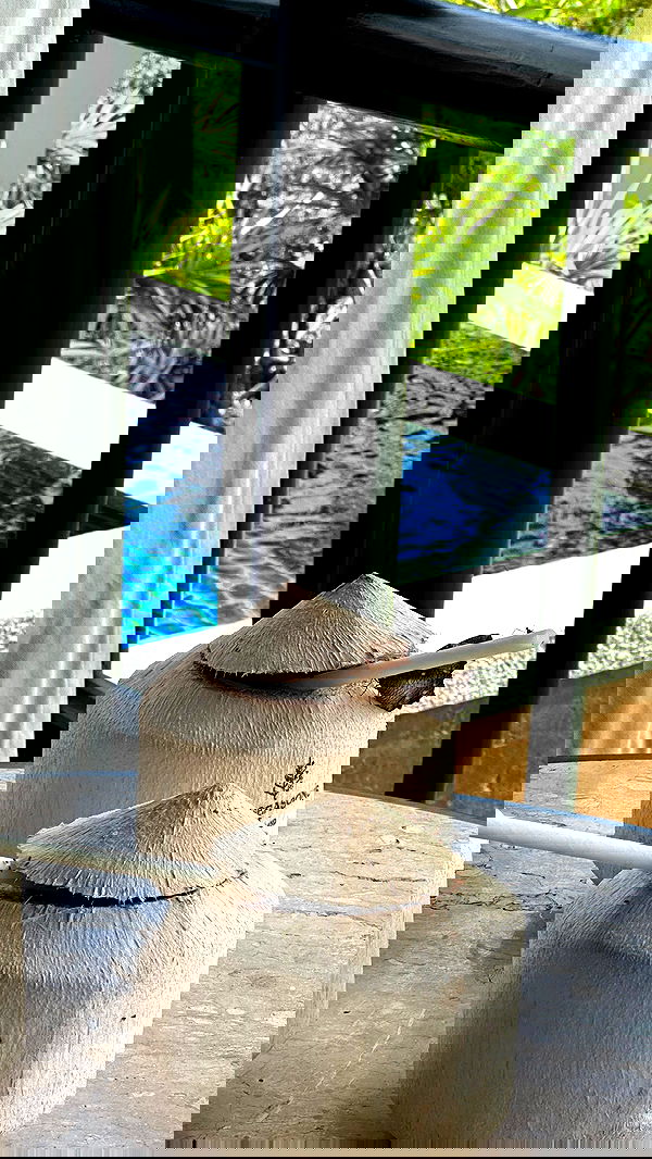 valeria_lukin valeria_lukin archive image