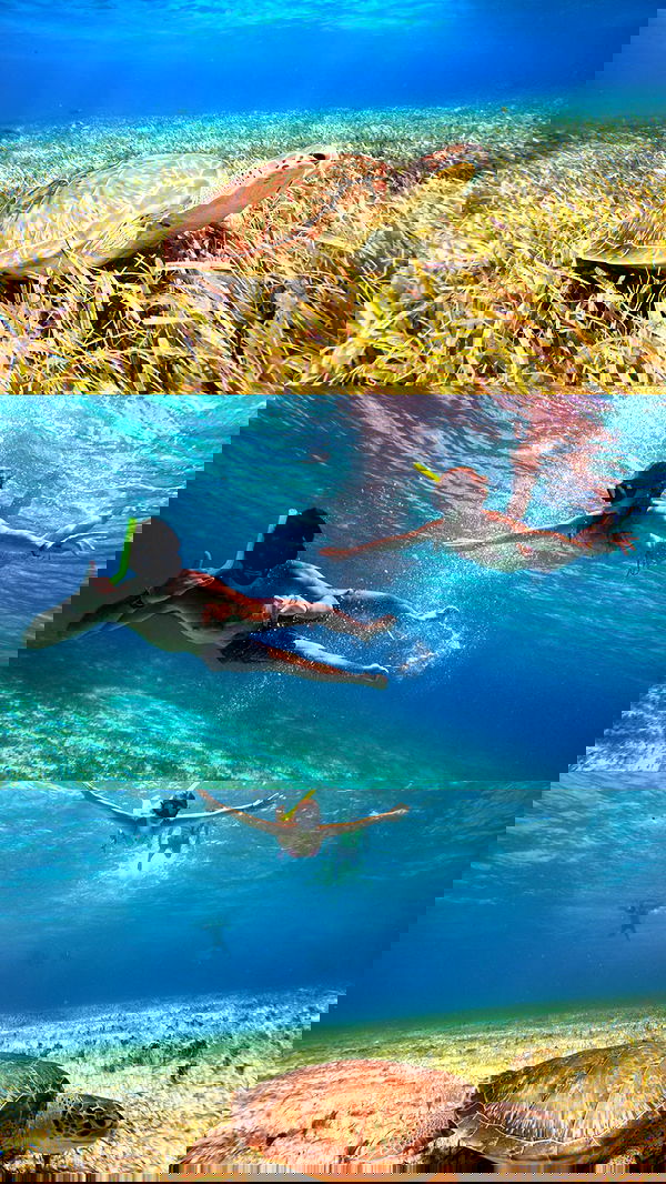 valeria_lukin valeria_lukin archive image